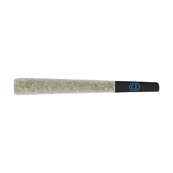 Cactus Breath Pr..