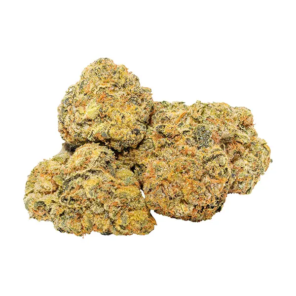 Ghost OG (Dried Flower) by Tuck Shop