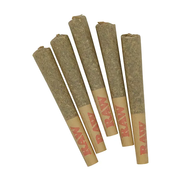 Image for Northern Lights Pre-Roll, cannabis all products by Common Ground