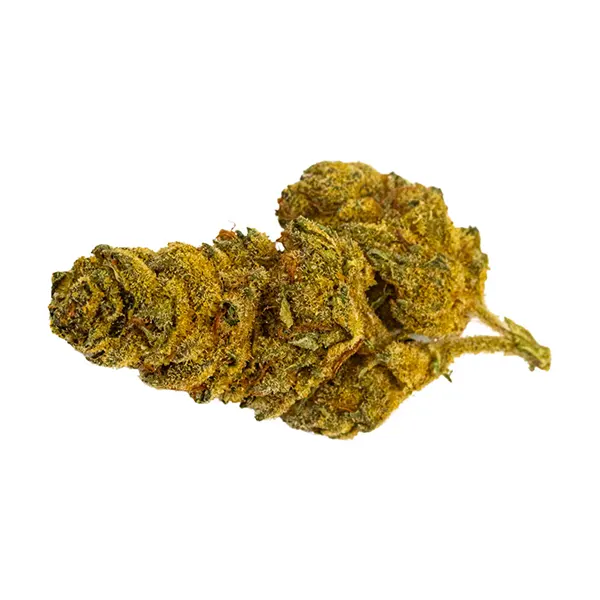 Bud image for Wreck & Leisure, cannabis all products by Dykstra Greenhouses