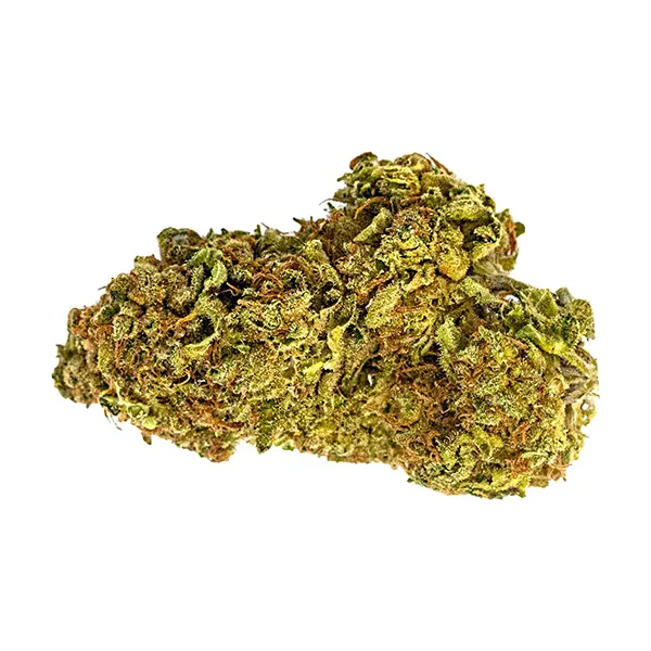 Bud image for Screwface OG, cannabis dried flower by Harts