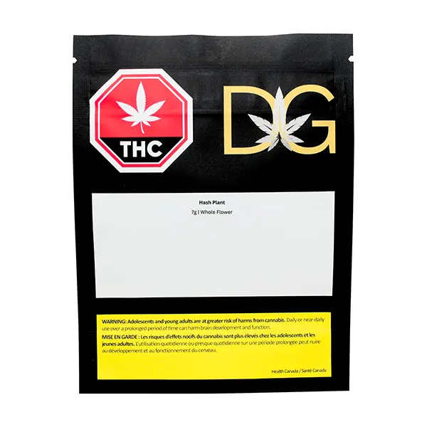 Hash Plant (Dried Flower) by Dykstra Greenhouses