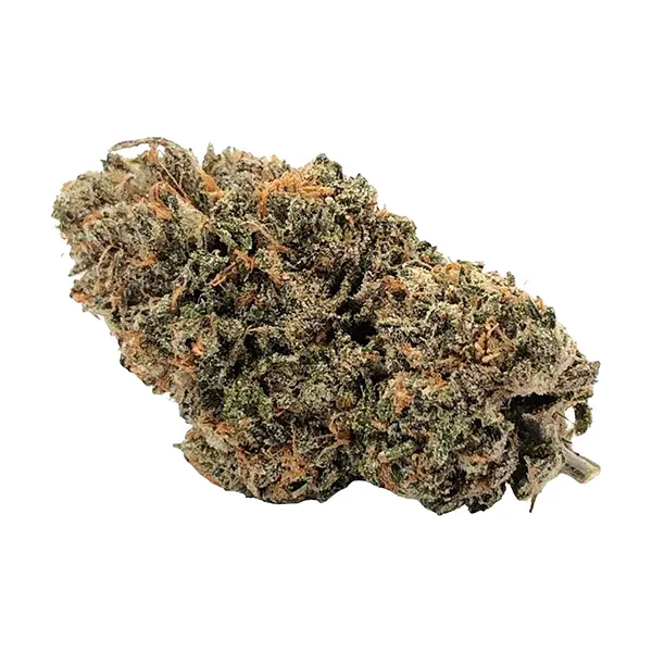 Bud image for Rntz Muffin #4, cannabis dried flower by Bobs Better Buds