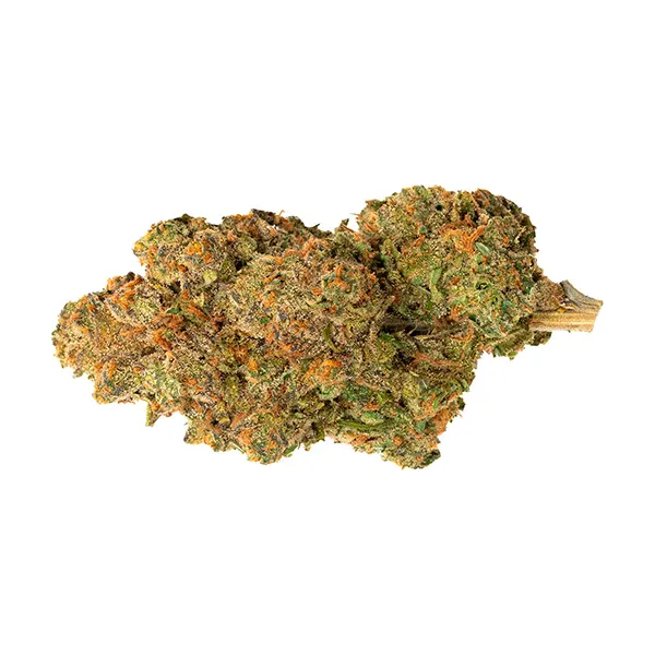 Pineapple Nuken