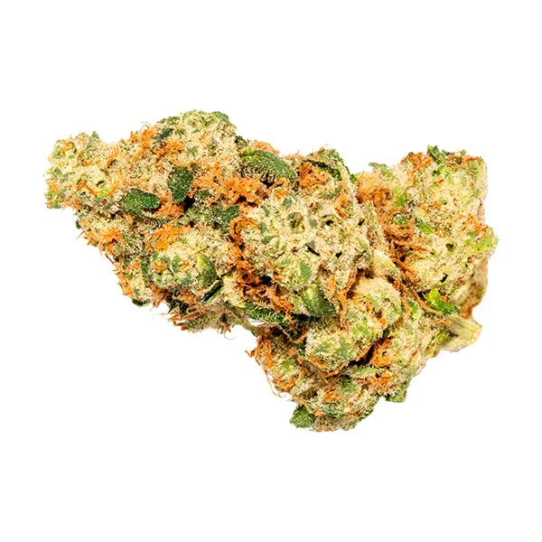Bud image for Pink Gas, cannabis dried flower by Divvy