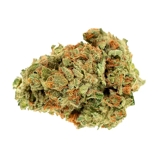 Bud image for Papaya Power, cannabis dried flower by Divvy