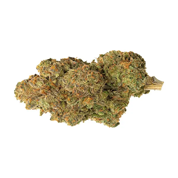 Bud image for Fruit, cannabis all products by Oddball