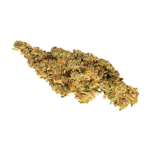 Bud image for Haze, cannabis all products by Oddball