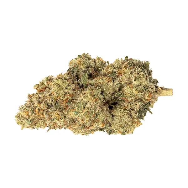 Bud image for Exotics, cannabis all products by Oddball