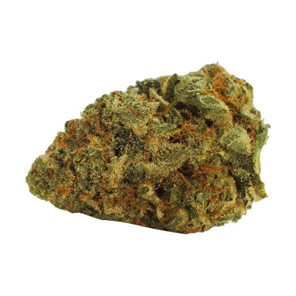 Limited Drip (Dried Flower) by Hunny Pot