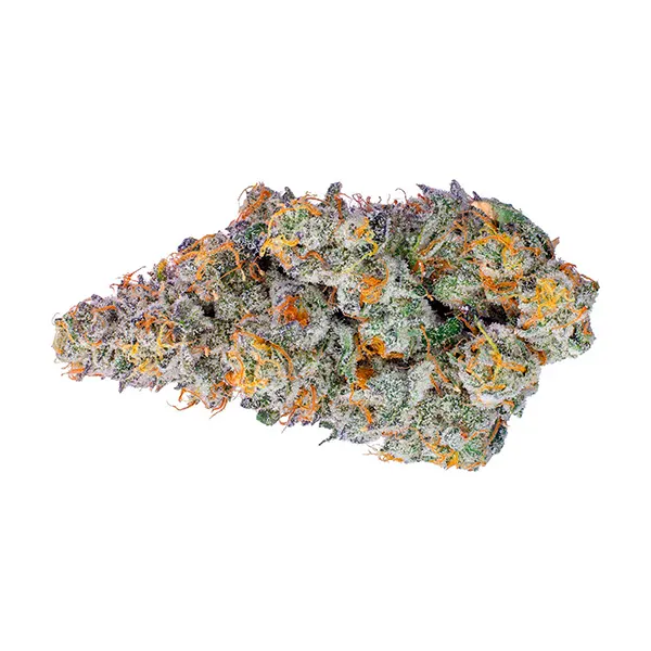 LA Beatnik (Dried Flower) by Four54