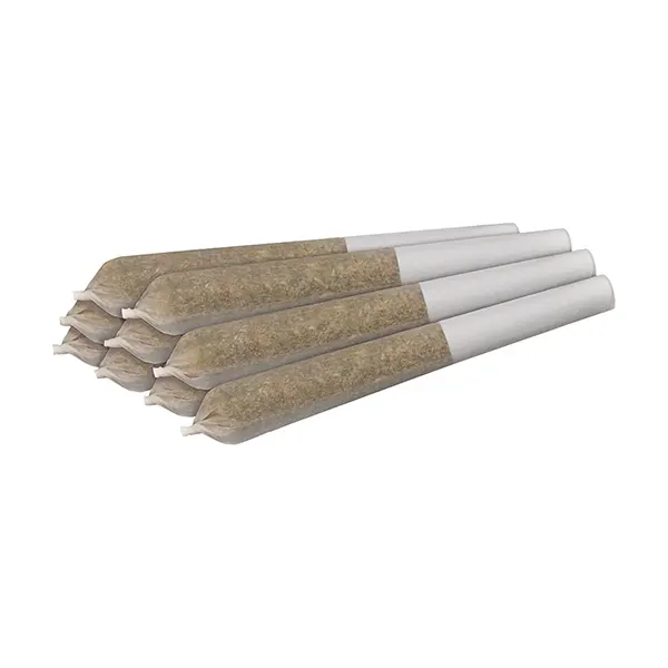 Image for LA Beatnik Pre-Roll, cannabis all products by Four54