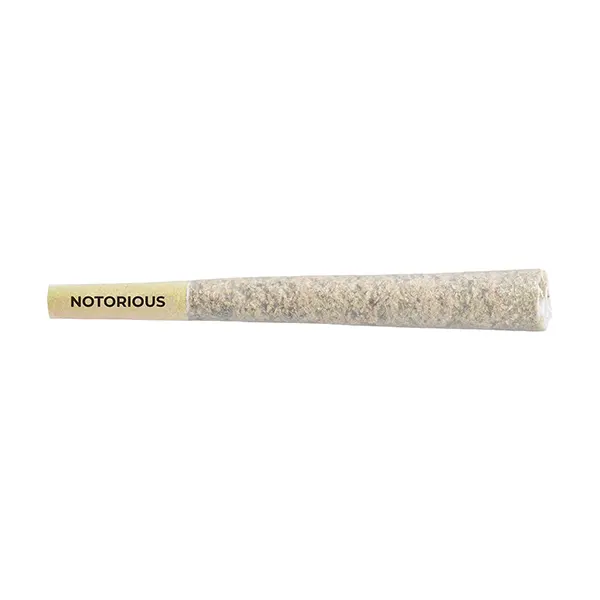 Image for Notorious Pre-Roll, cannabis all products by Pistol and Paris