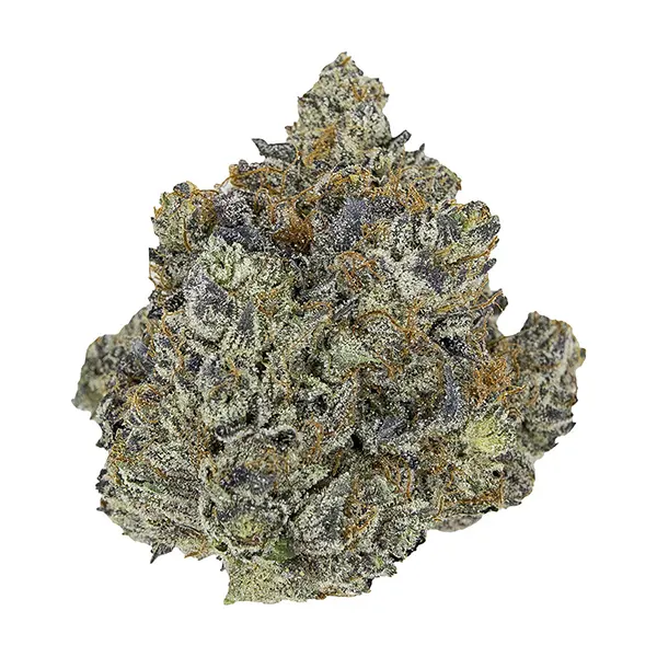 Bud image for Pink Panties, cannabis dried flower by Pistol and Paris