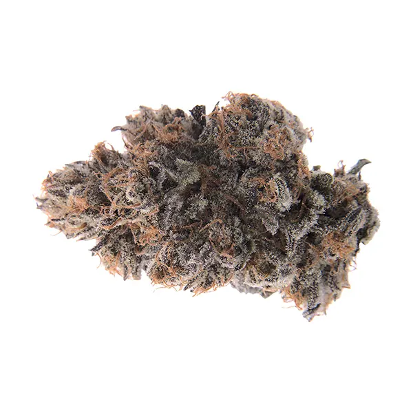 Bud image for Gas and Roses Dried Flower, cannabis all products by Pistol and Paris