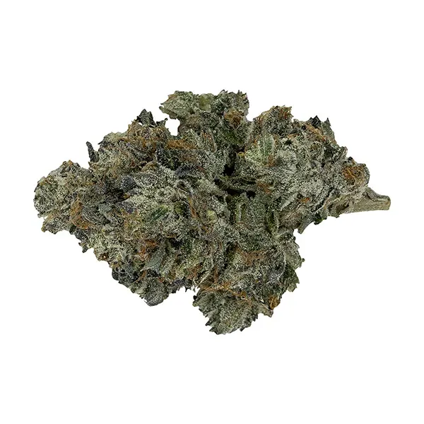 Bud image for Death Bubba, cannabis dried flower by Pistol and Paris