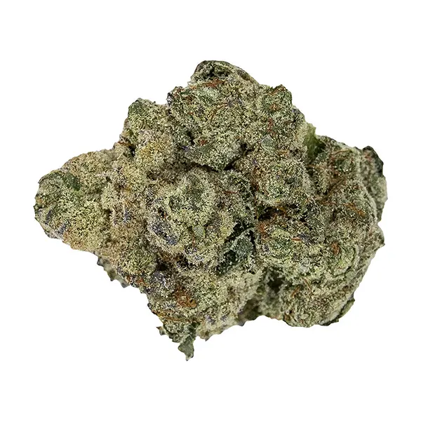 Bud image for Rockstar, cannabis all products by Pistol and Paris