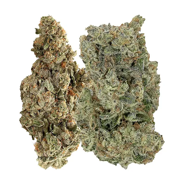 Bud image for Flavours, cannabis all products by Pistol and Paris