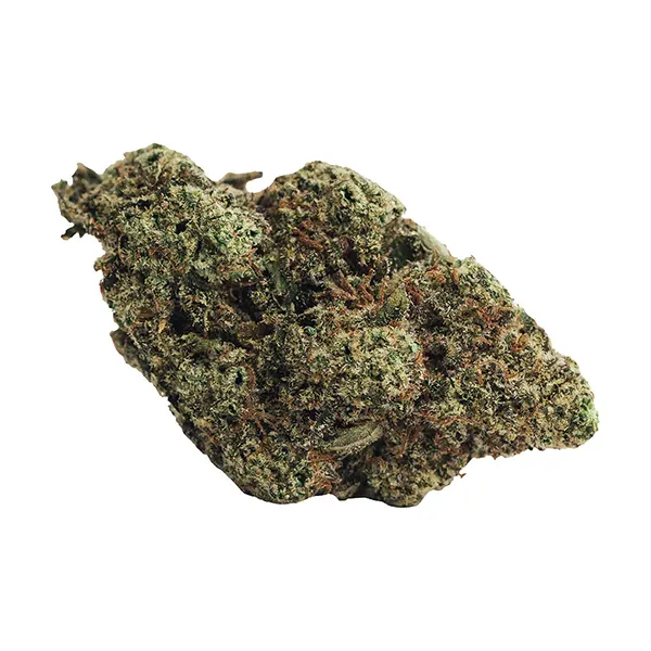 Product image for BOLD Cannabis Flower by Bold Growth Inc.