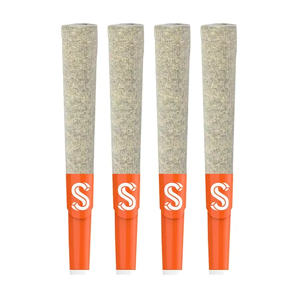 Image for True GLTO 33 Double Infused Pre-Rolls, cannabis all products by Sherbinskis
