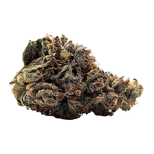 Bud image for 91 Ox, cannabis dried flower by MTL Cannabis