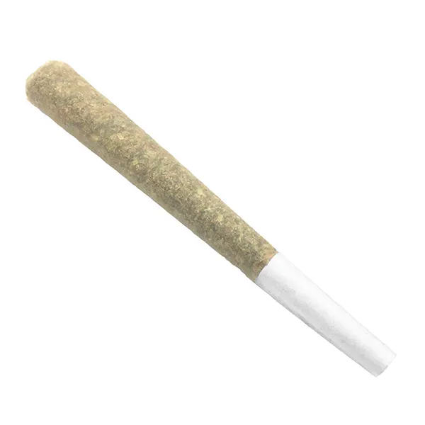 Image for Afghani Bullrider Pre-roll, cannabis all products by Organnicraft
