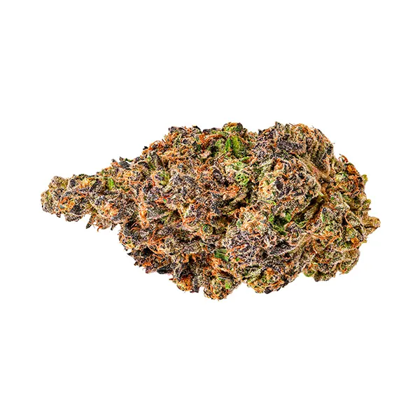 Image for Alien Kush