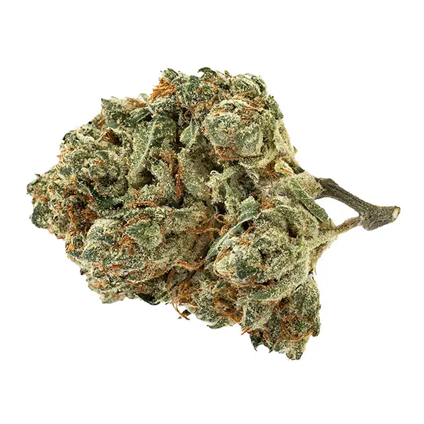 Image for Alien Pebbles