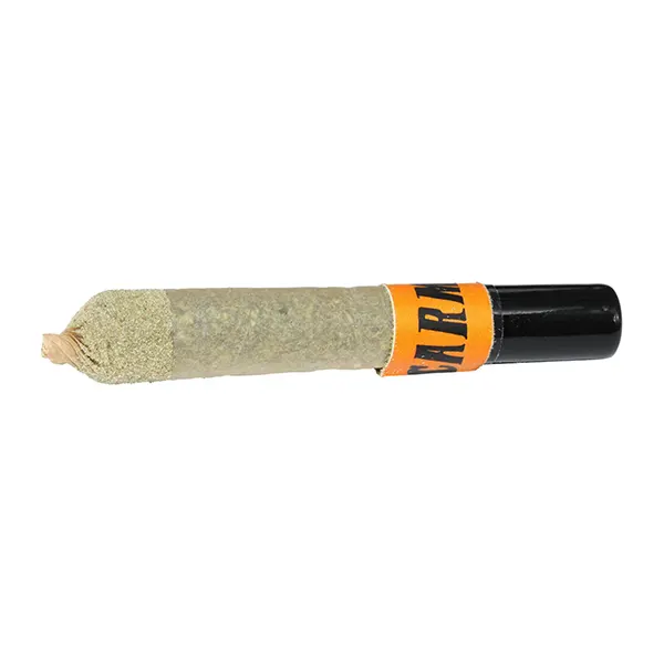 Image for Animal Face Ceramic Tip Infused Pre-roll, cannabis pre-rolls by Carmel