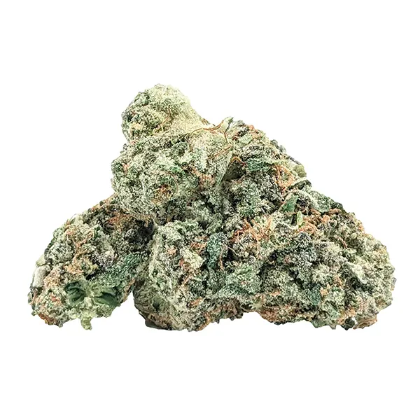 Bud image for Animal Z, cannabis all products by EastCann