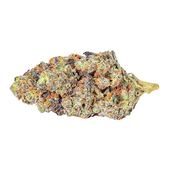 Apple Banana Cndy (Dried Flower) by Tenzo