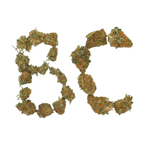 Image for BC Indoor Sativa