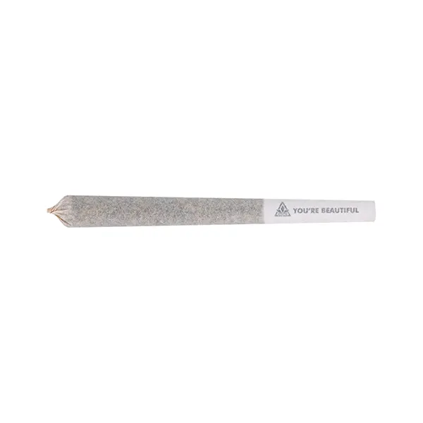Image for BC Organic Dancehall Pre-Roll, cannabis all products by Coast Mountain Cannabis