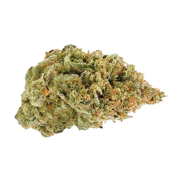 Image for BC Organic Fruit Loopz