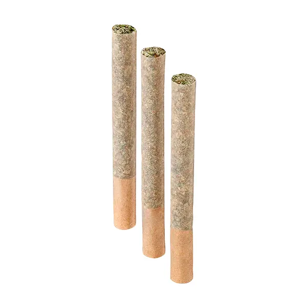 Image for BC Organic (LSO) Cariboo Stars Pre-Roll