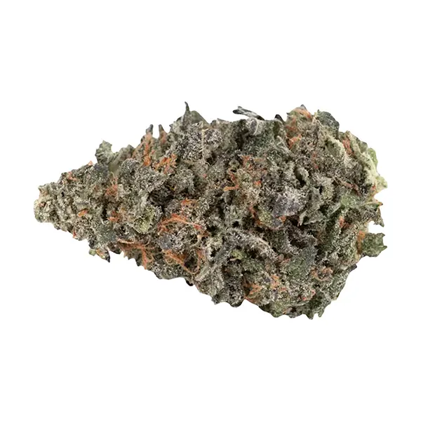 Image for BC Organic Luv Affair