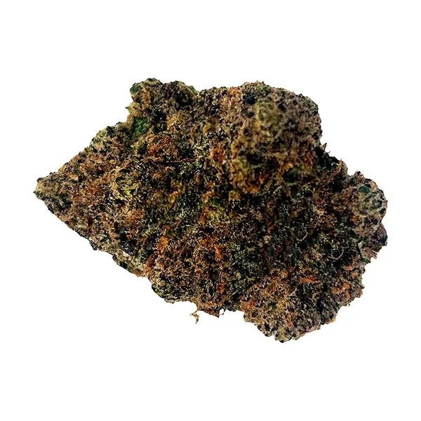 Image for Beaver Tail