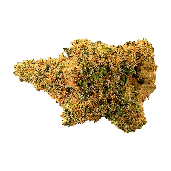 Image for Big Banana OG