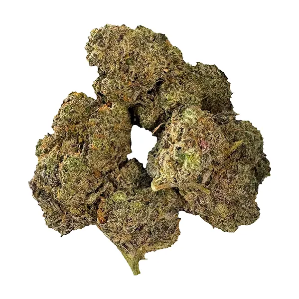 Bud image for Big Buzz OG, cannabis dried flower by Buzz'd