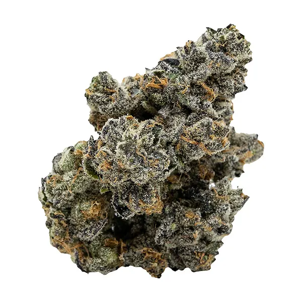 Bud image for Blackberry Breath, cannabis all products by Pistol and Paris