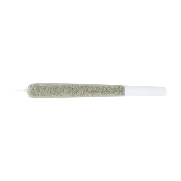 Image for Black Cherry Soda Pre-Rolled Craft Cannabis