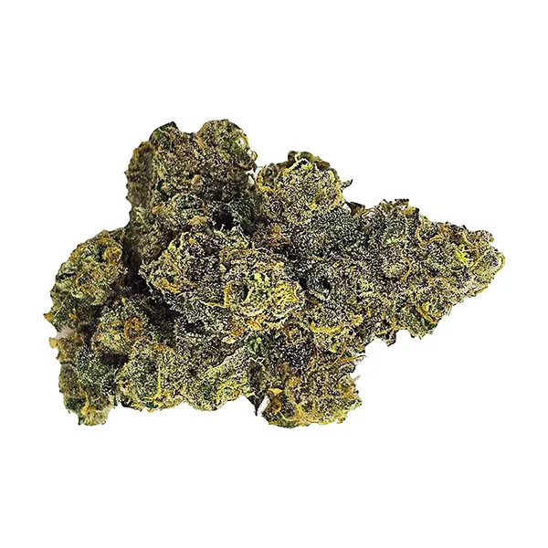 Image for Purple Octane