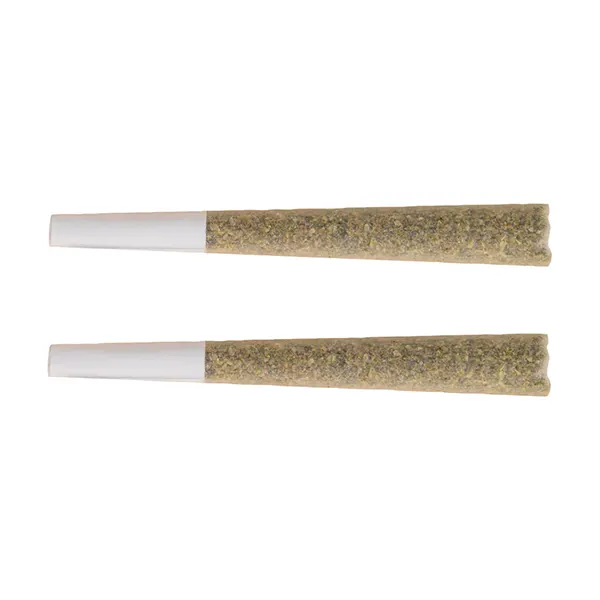 Black Label Pre-Roll (Pre-Rolls) by The Republic