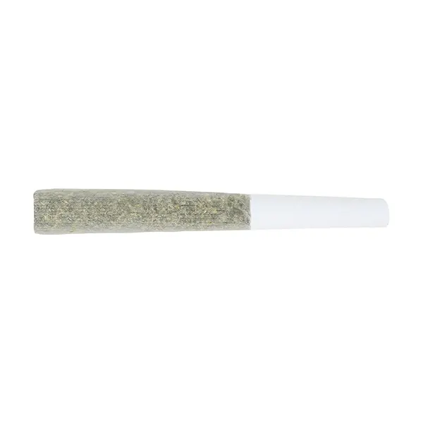Black Truffle Pre-Roll (Pre-Rolls) by 3rd Coast Genetics