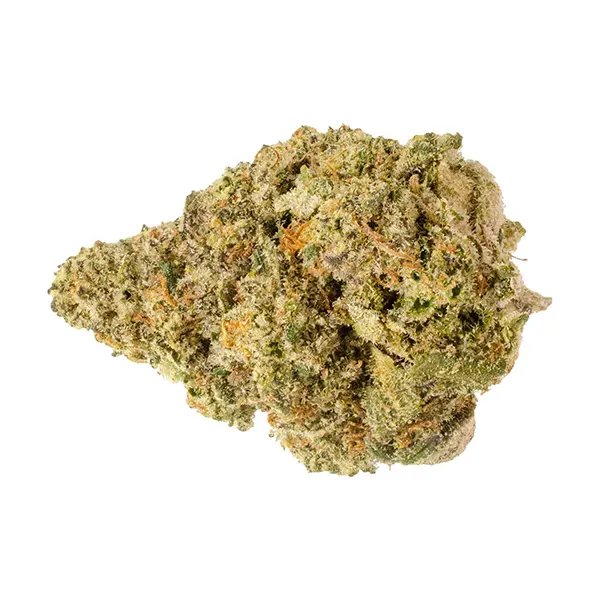 Image for Blakh Haze