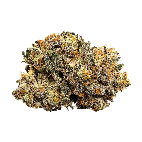 Image for Blakh Kush