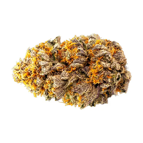 Image for Mini Shinken