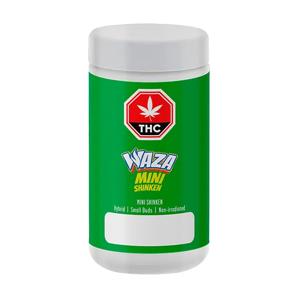 Mini Shinken (Dried Flower) by WAZA