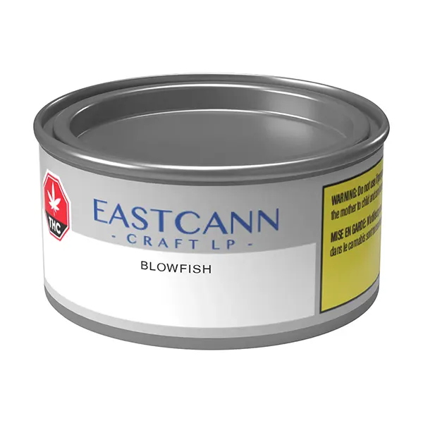 Blowfish (Dried Flower) by EastCann