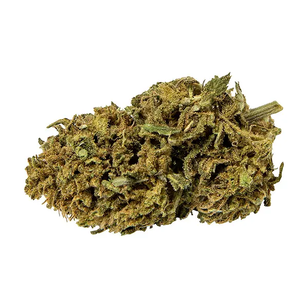 Blueberry Bliss (Dried Flower) by WholeHemp